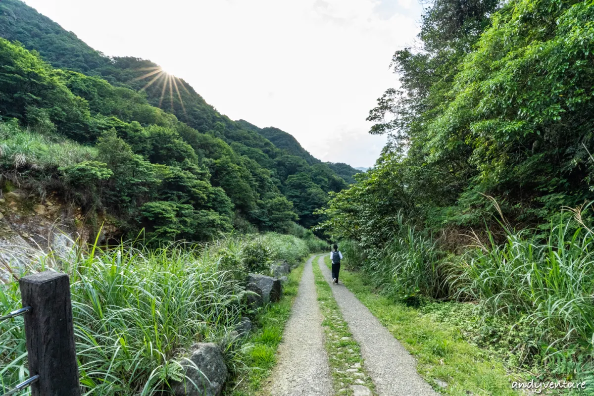 魚路古道(金包里大路)－陽明山的新手最友善登山路線｜台北景點