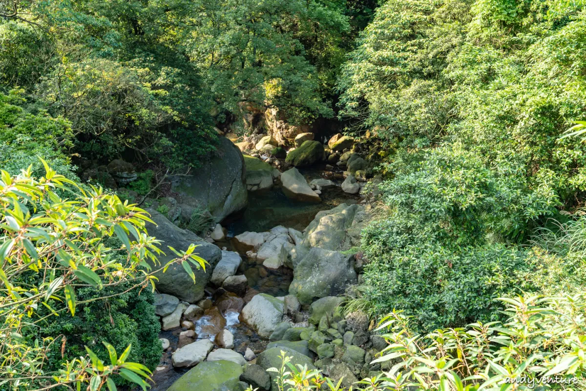 魚路古道(金包里大路)－陽明山的新手最友善登山路線｜台北景點