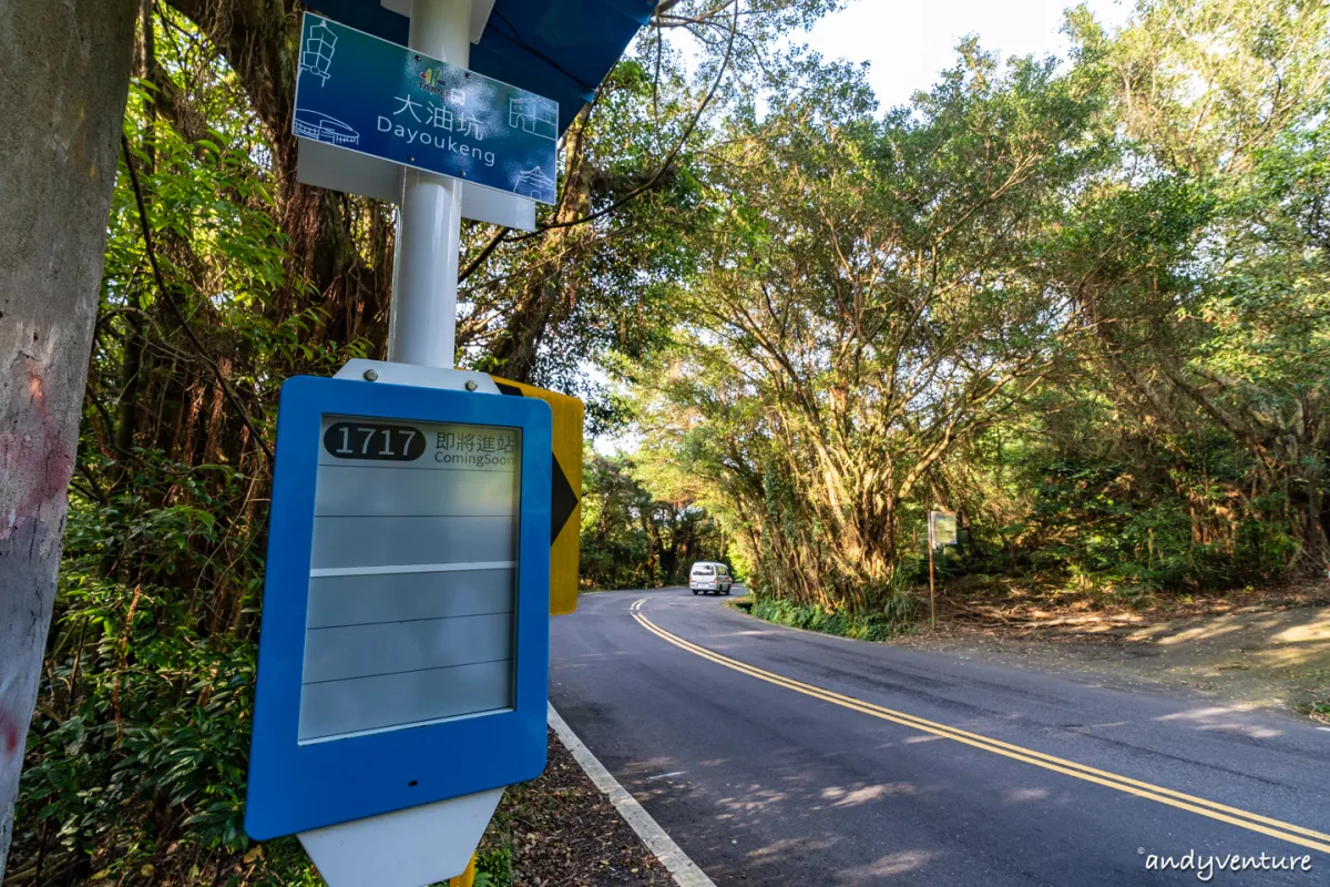 魚路古道(金包里大路)－陽明山的新手最友善登山路線｜台北景點